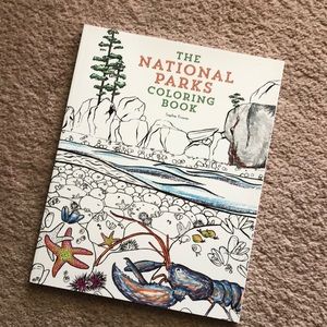 Adult coloring book